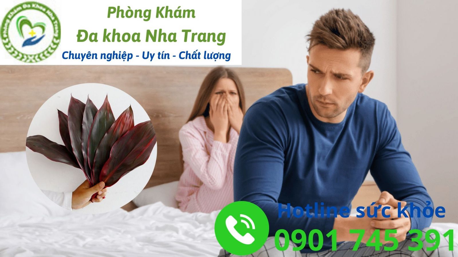 Cây dụ huyết chữa yếu sinh lý có hiệu quả không?