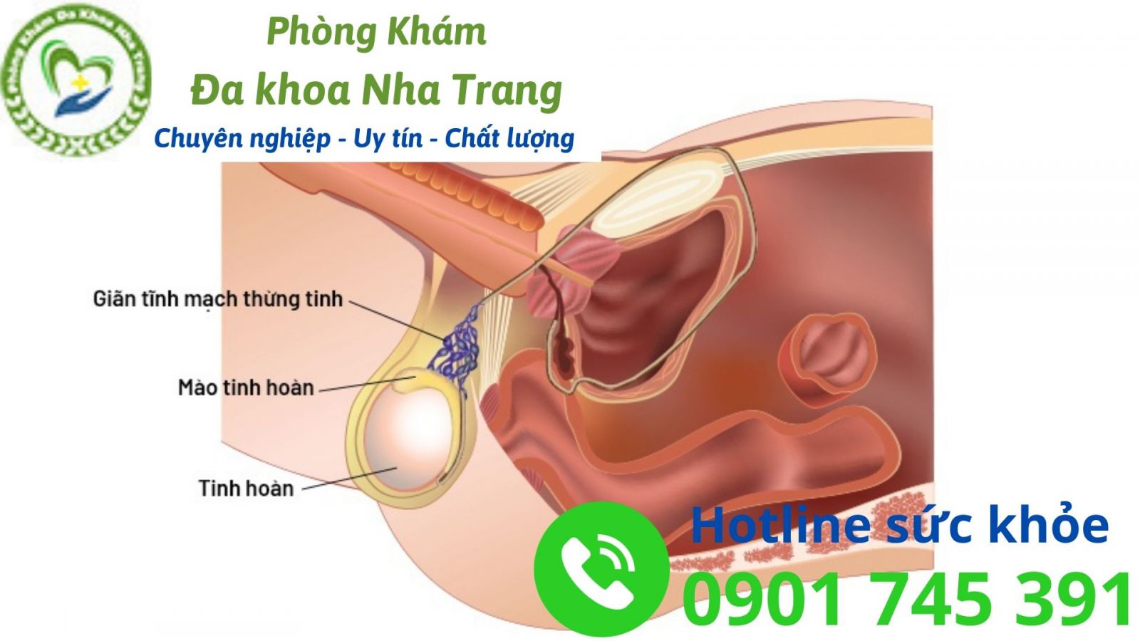 Nguyên nhân gây đau tinh hoàn phải 