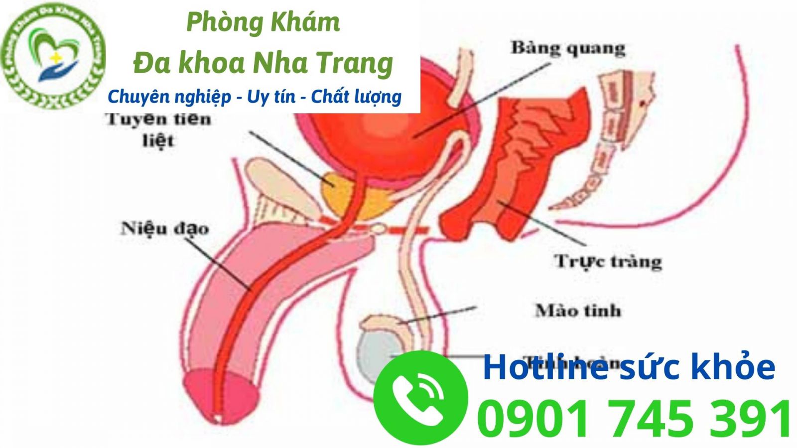 Tại sao nam giới lại bị đau tinh hoàn sau khi cương?