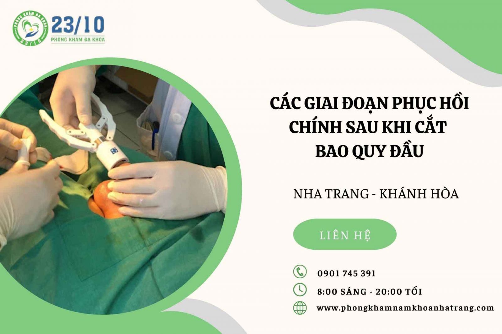 Các giai đoạn phục hồi chính