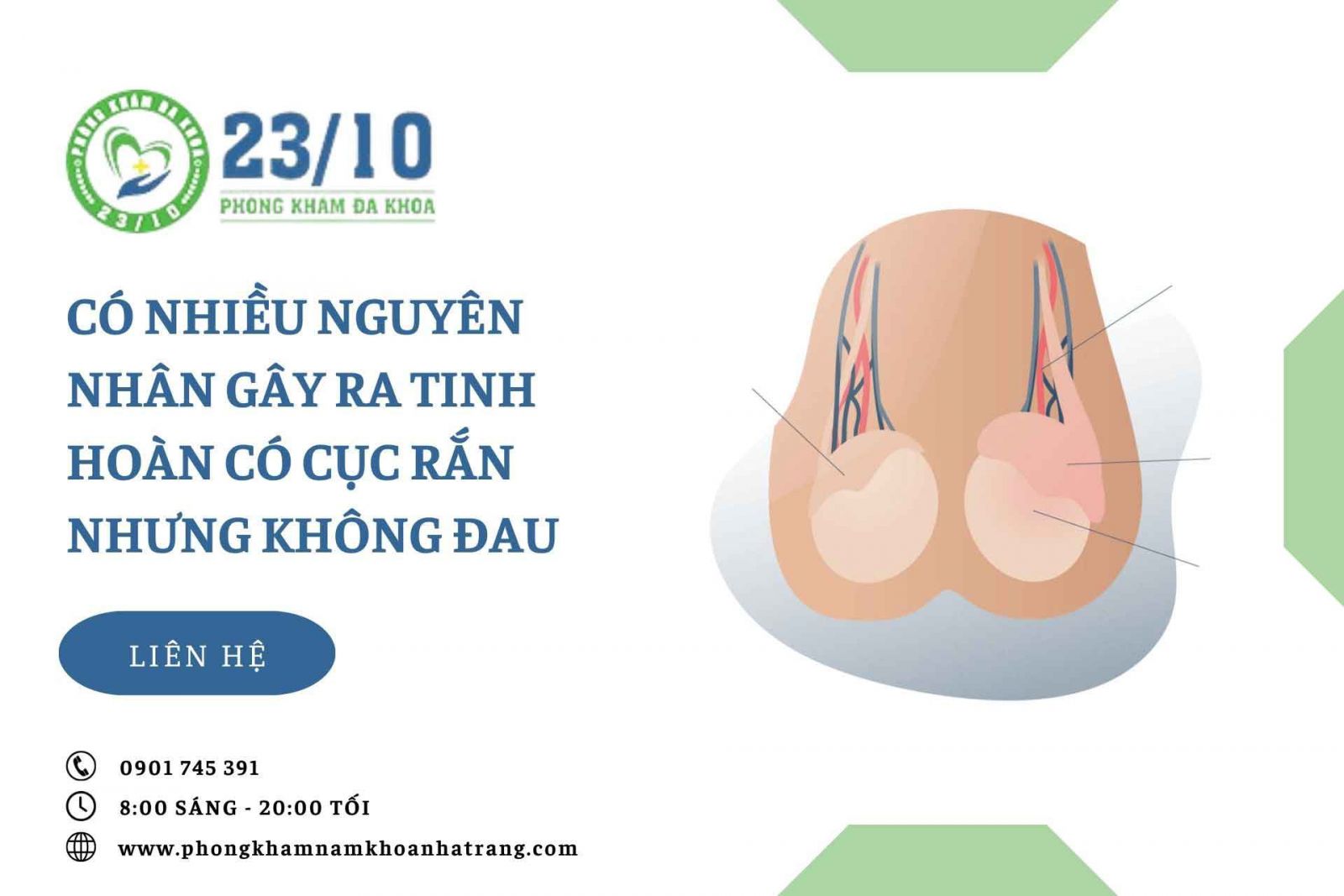 Có nhiều nguyên nhân gây ra tinh hoàn có cục nhỏ rắn không đau