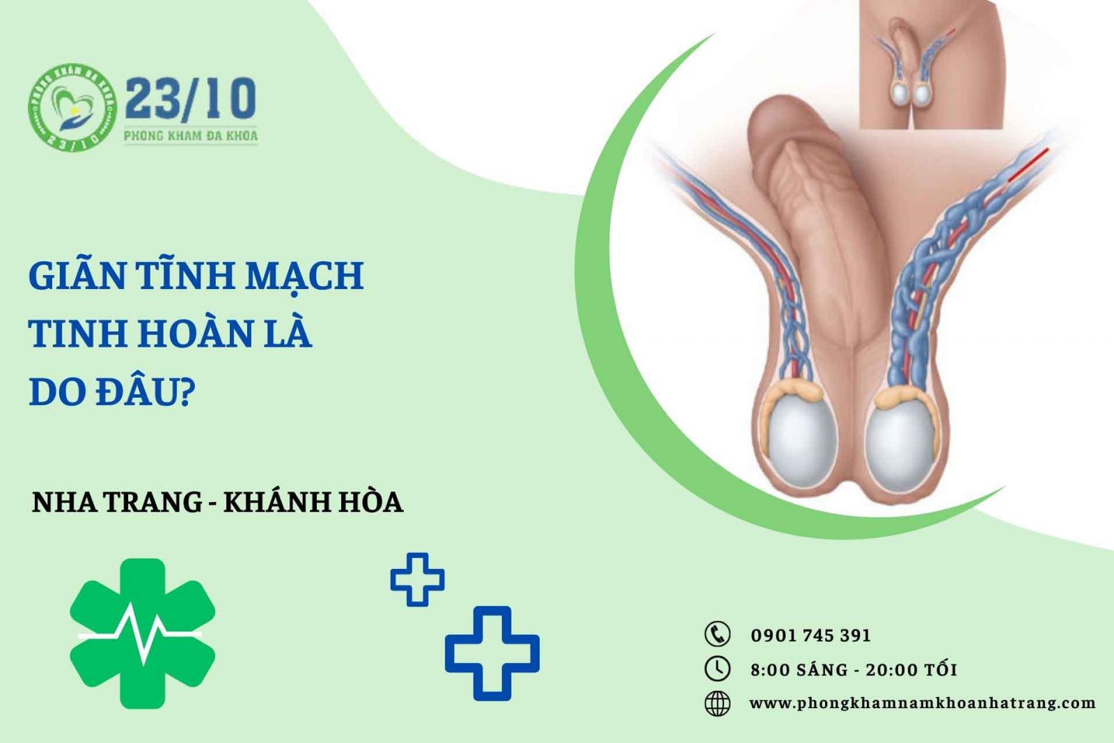 Giãn tĩnh mạch tinh hoàn là do đâu?