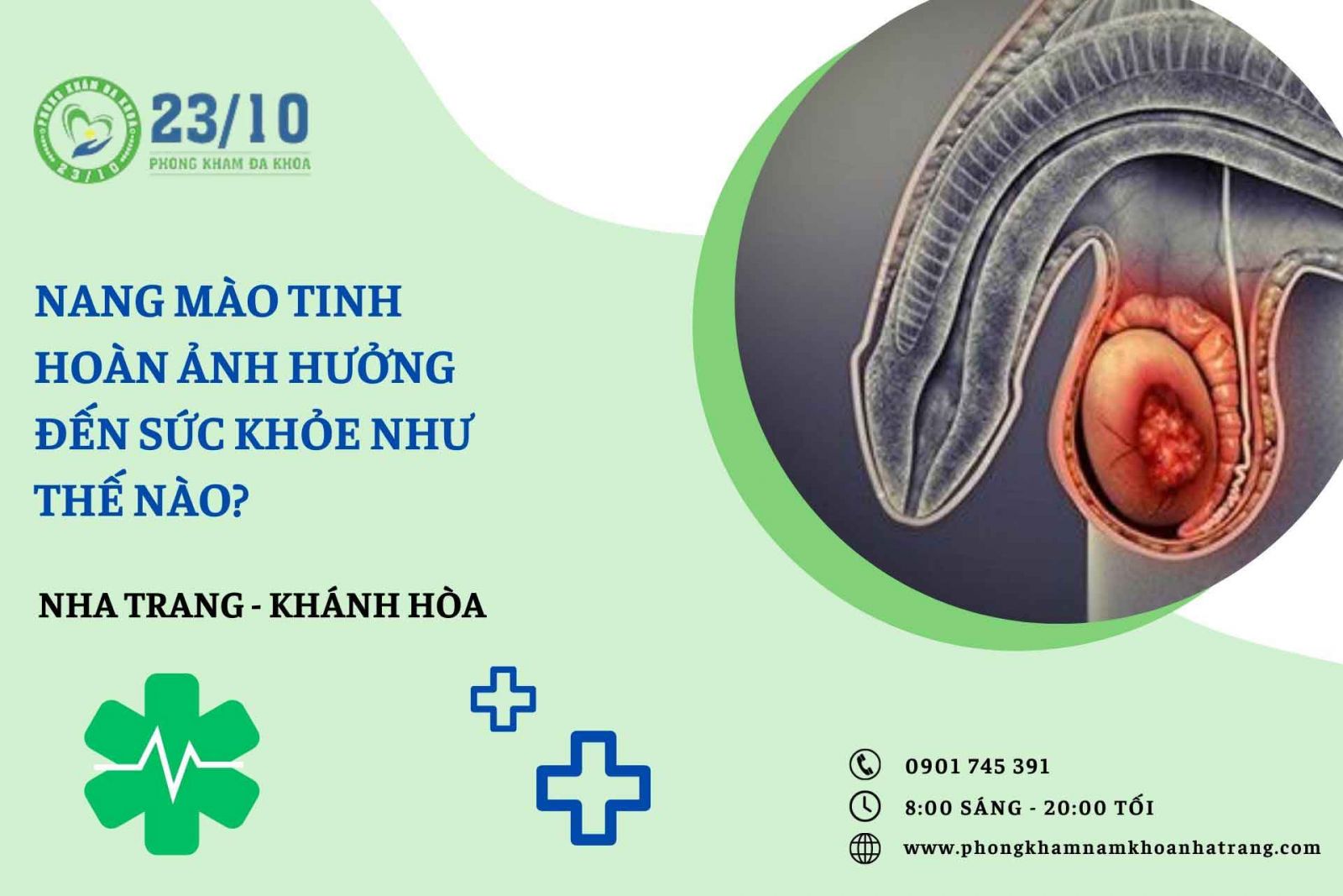 Nang mào tinh hoàn ảnh hưởng như thế nào đến sức khỏe?