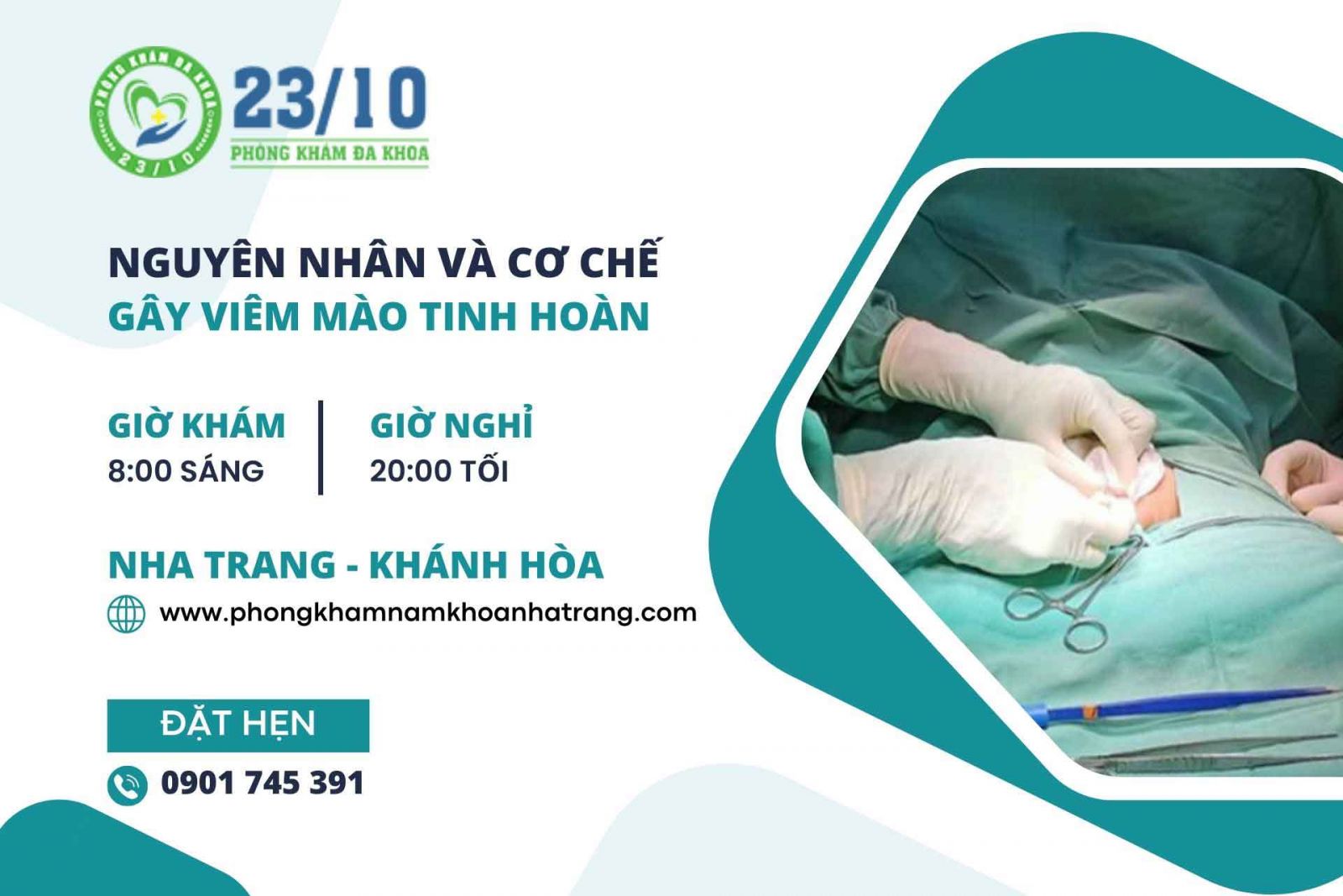 Nguyên nhân và cơ chế gây viêm mào tinh hoàn