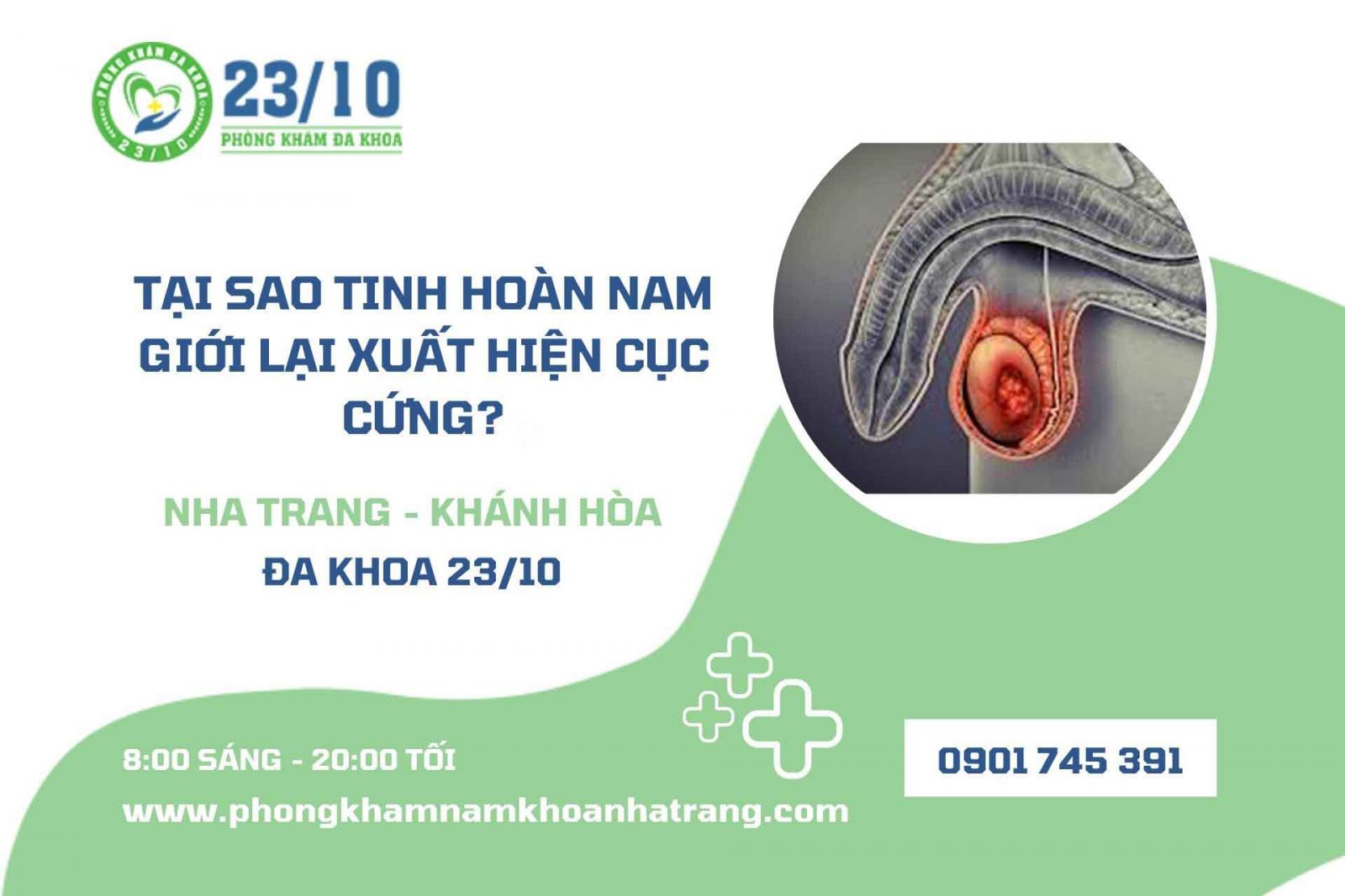 Tại sao tinh hoàn nam giới lại xuất hiện cục cứng?