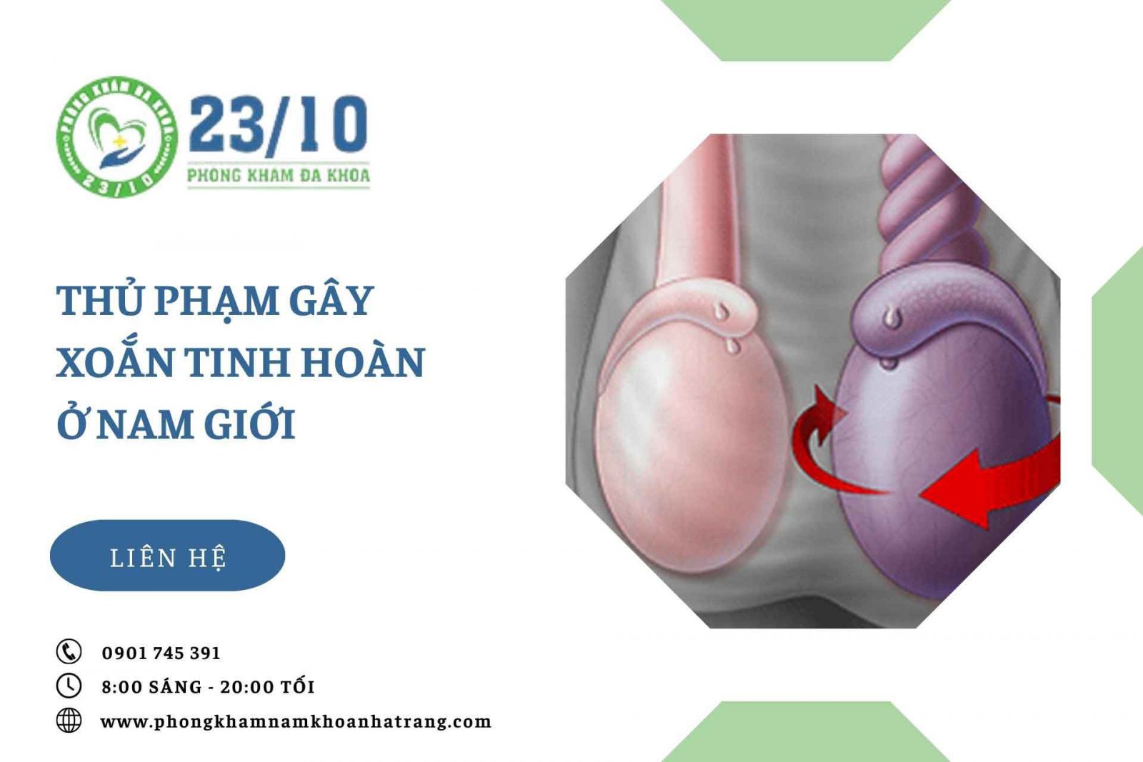 Thủ phạm gây xoắn tinh hoàn ở nam giới
