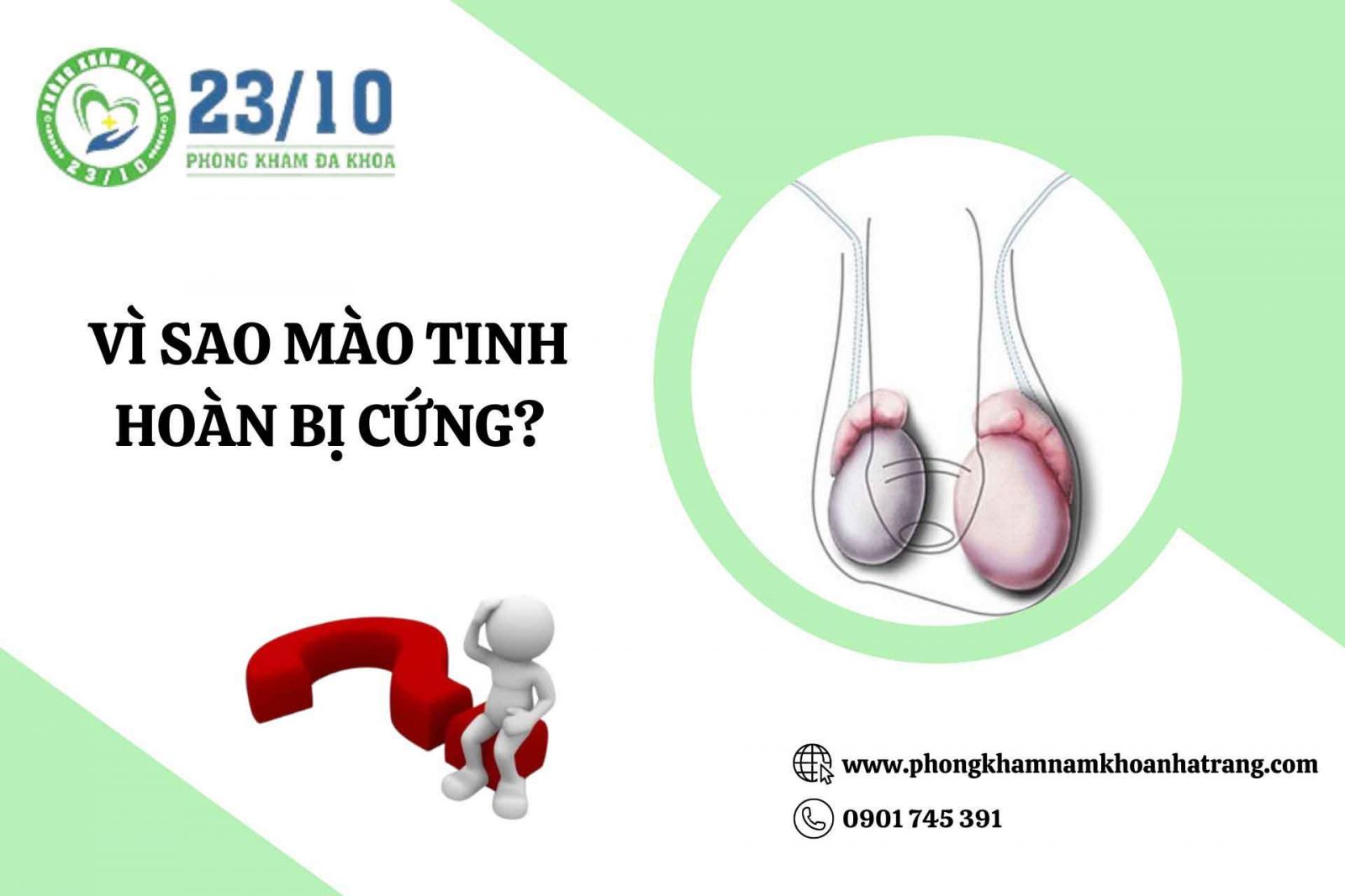 Vì sao mào tinh hoàn bị cứng?