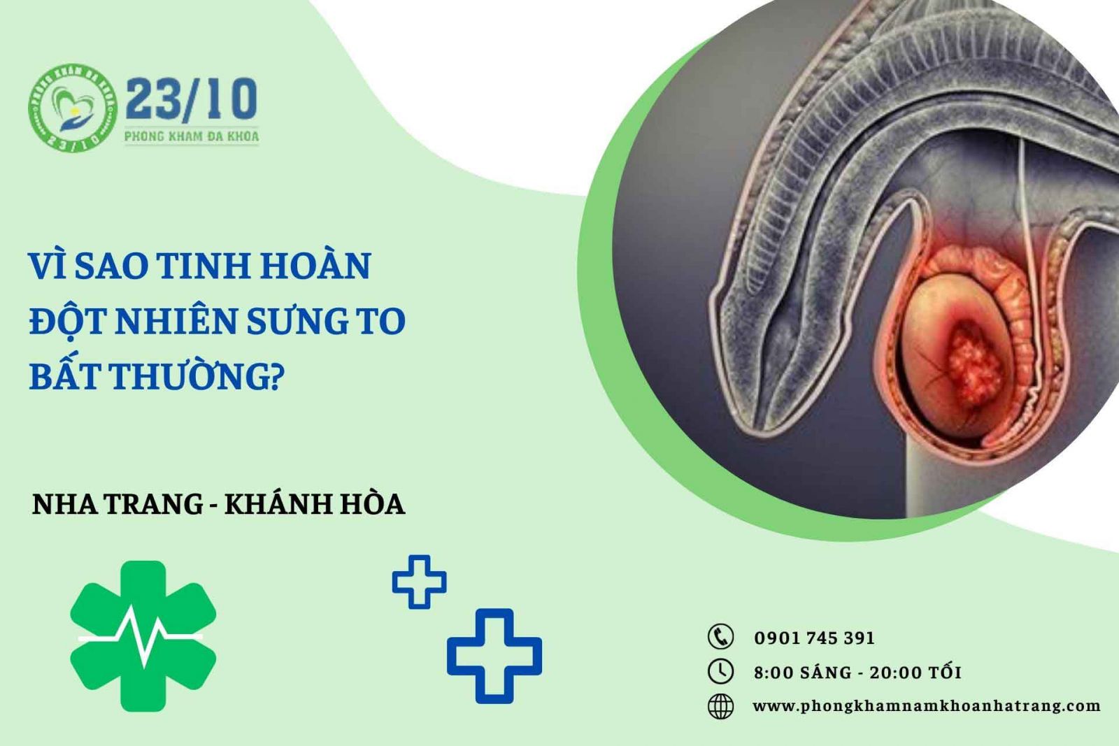 Vì sao tinh hoàn đột nhiên sưng to bất thường