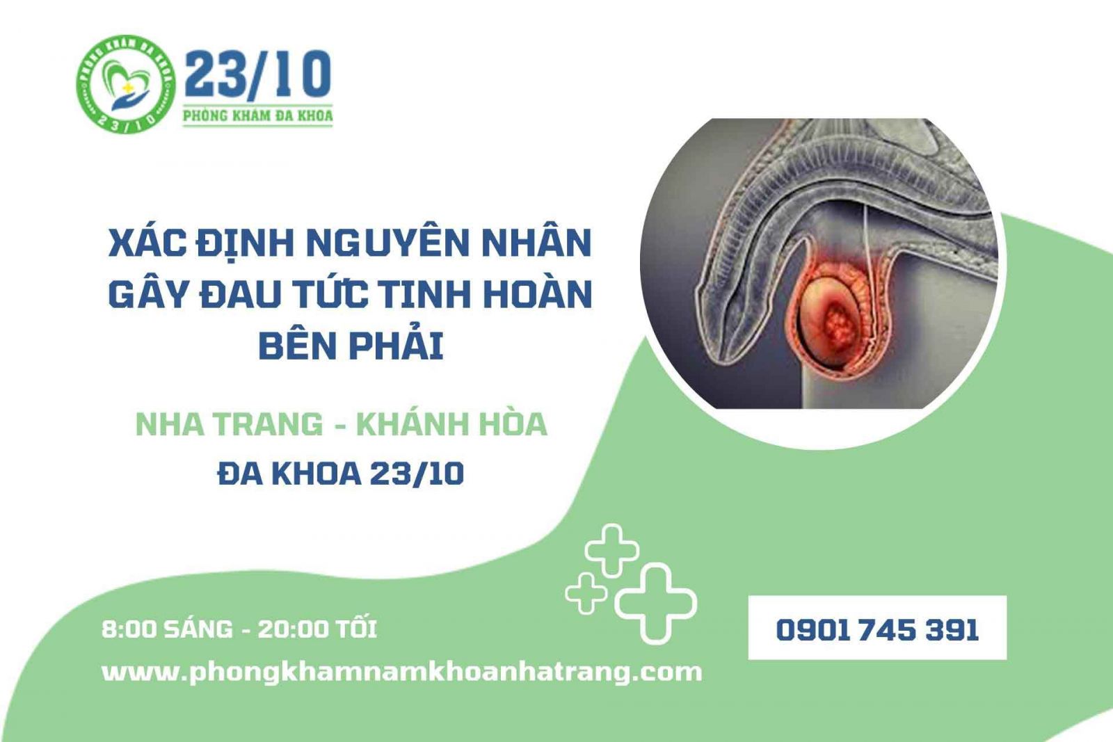 Xác định nguyên nhân gây đau tức tinh hoàn bên phải