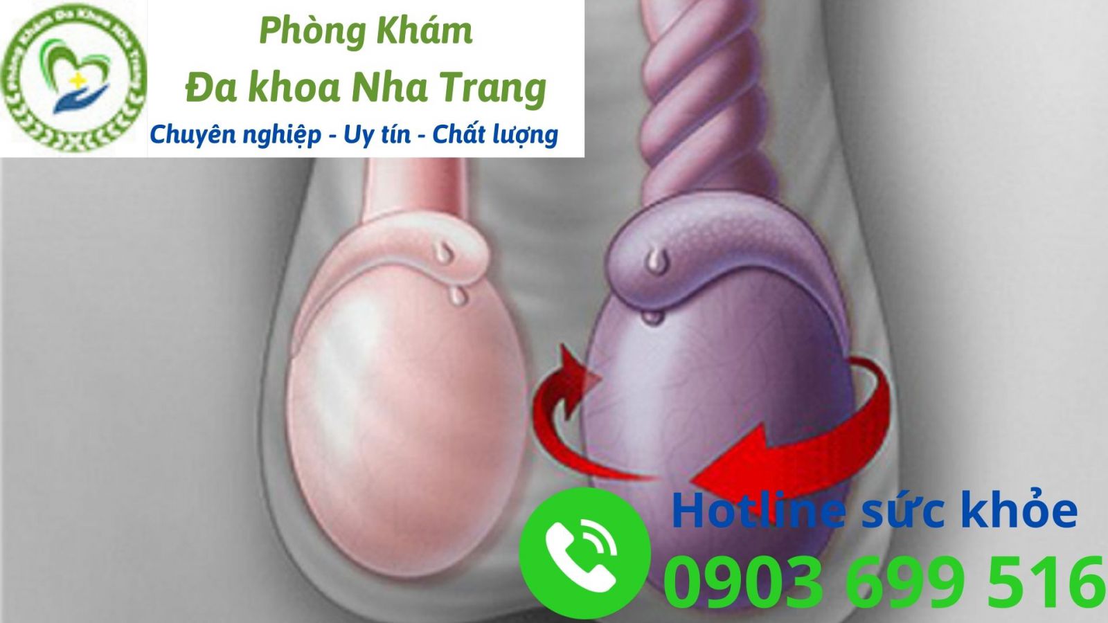 Quá trình phát triển của tinh hoàn