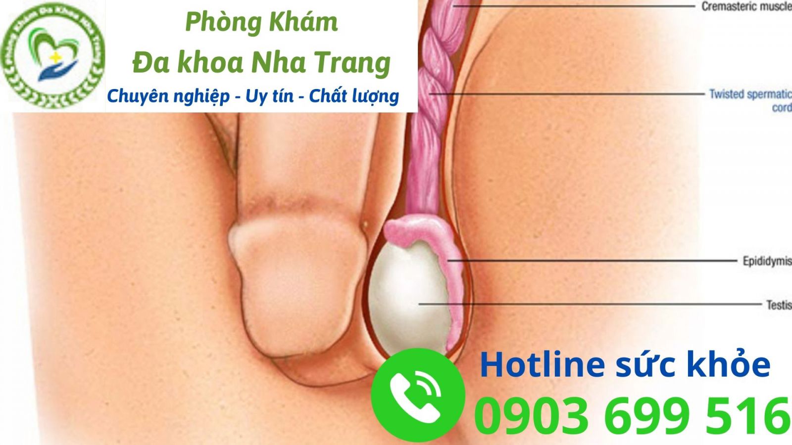 Những vấn đề sức khỏe liên quan đến tinh hoàn